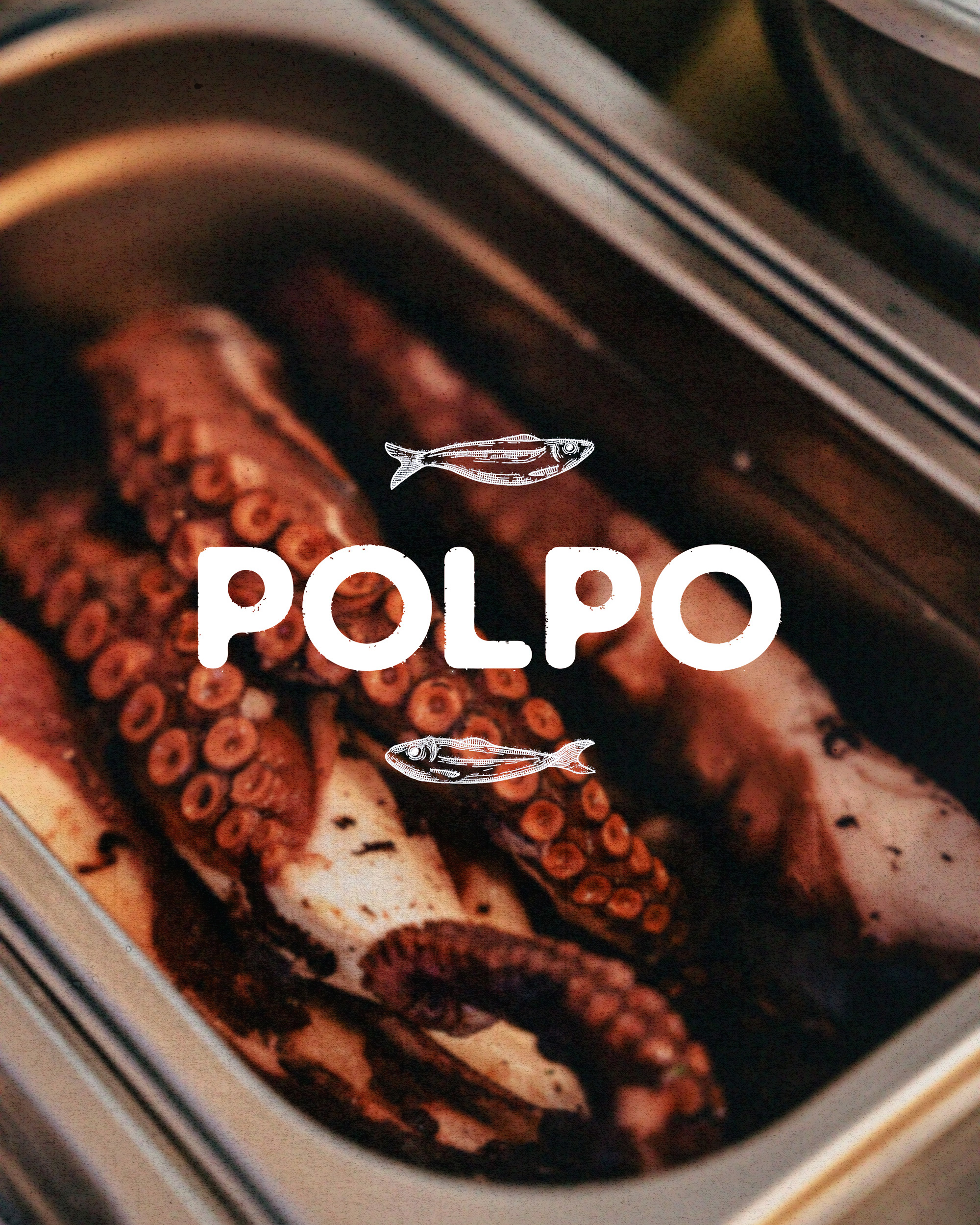 polpo_photo_logo